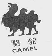 骆驼;CAMEL