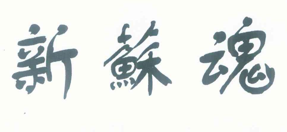 新苏魂