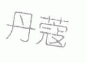 丹蔻