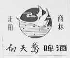 白天鹅