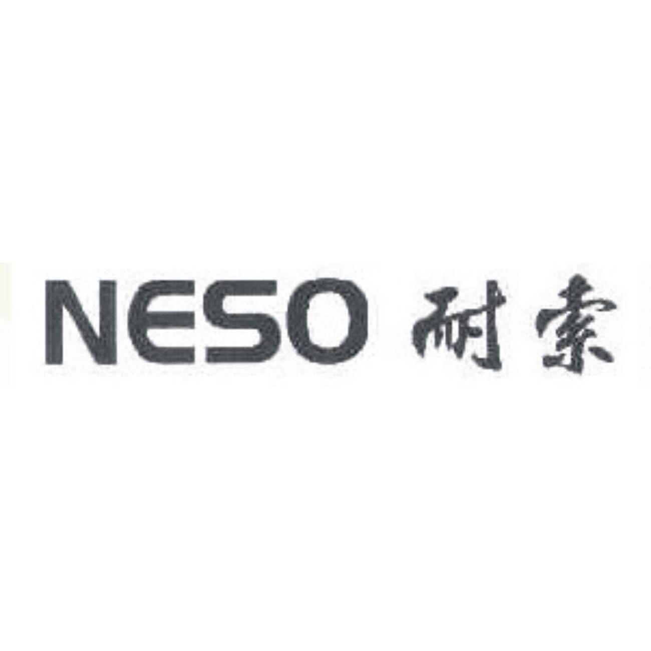 耐索 NESO