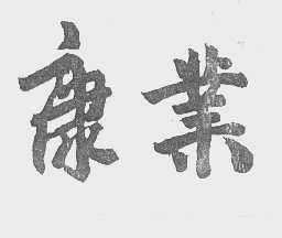 康业