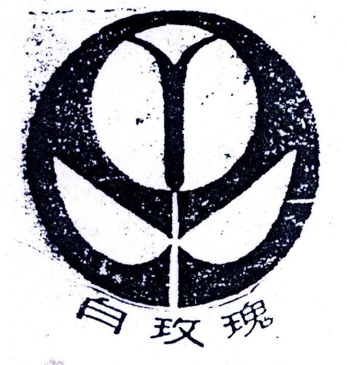 白玫瑰及图