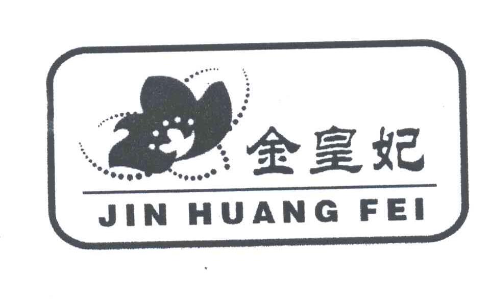 金皇妃