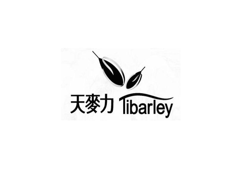 天麦力 TIBARLEY