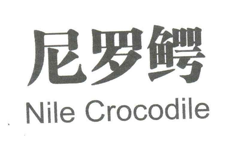 尼罗鳄;NILE CROCODILE