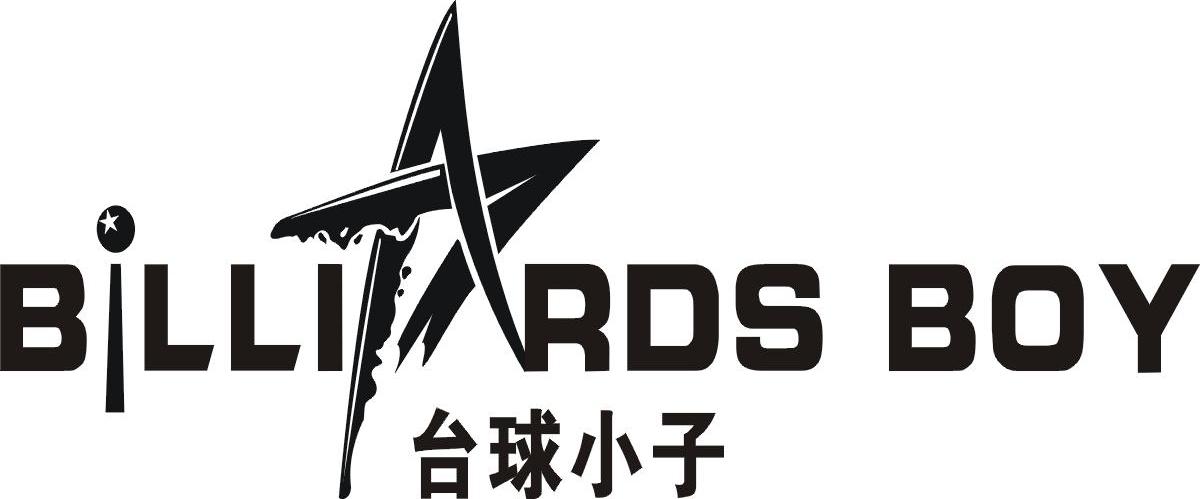 台球小子 BILLIARDS BOY