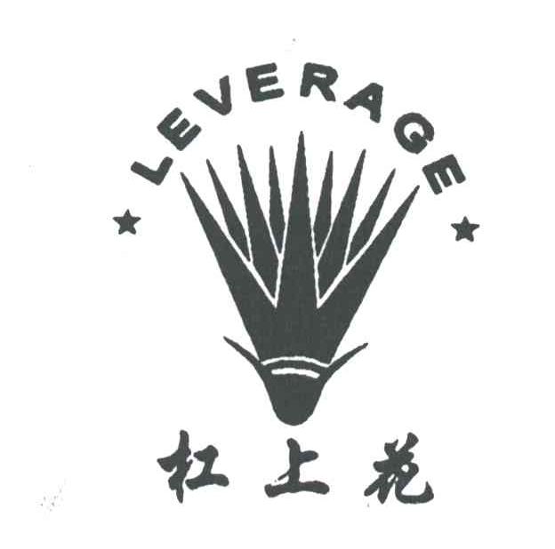 杠上花 LEVERAGE