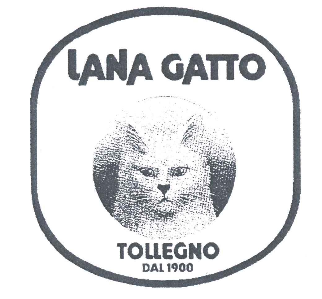 LANA GATTO TOLLEGNO；DAL