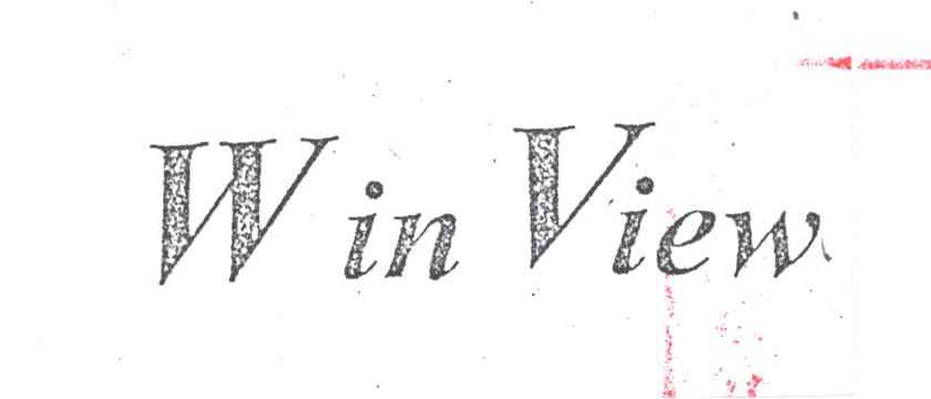 WINVIEW