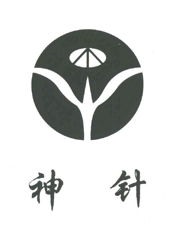 神针