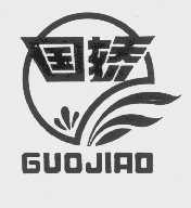 国娇