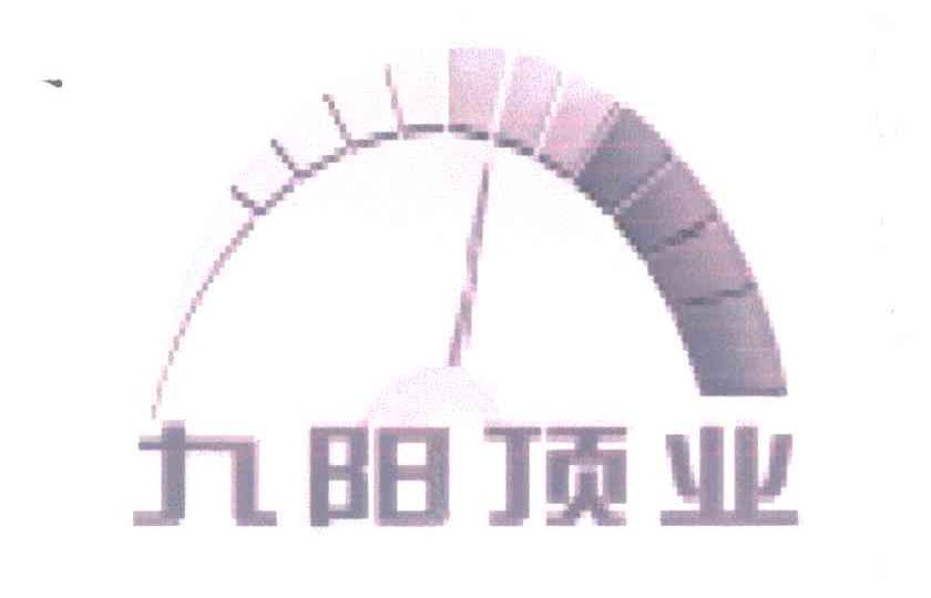 九阳顶业