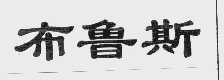 布鲁斯