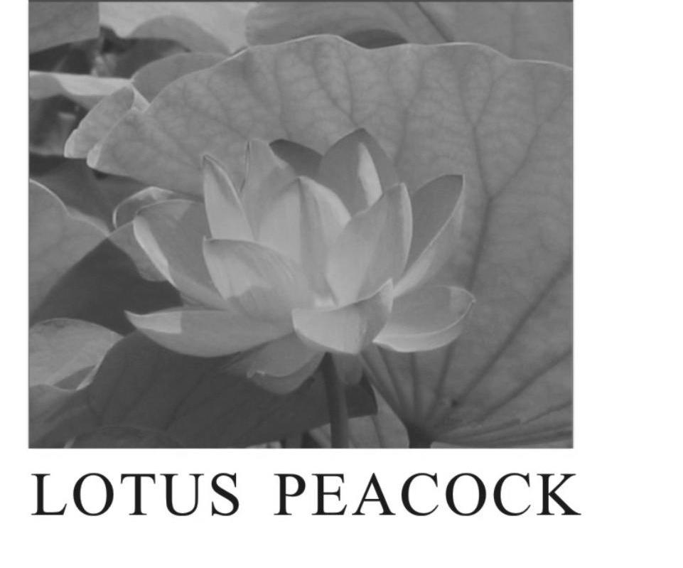 LOTUS PEACOCK