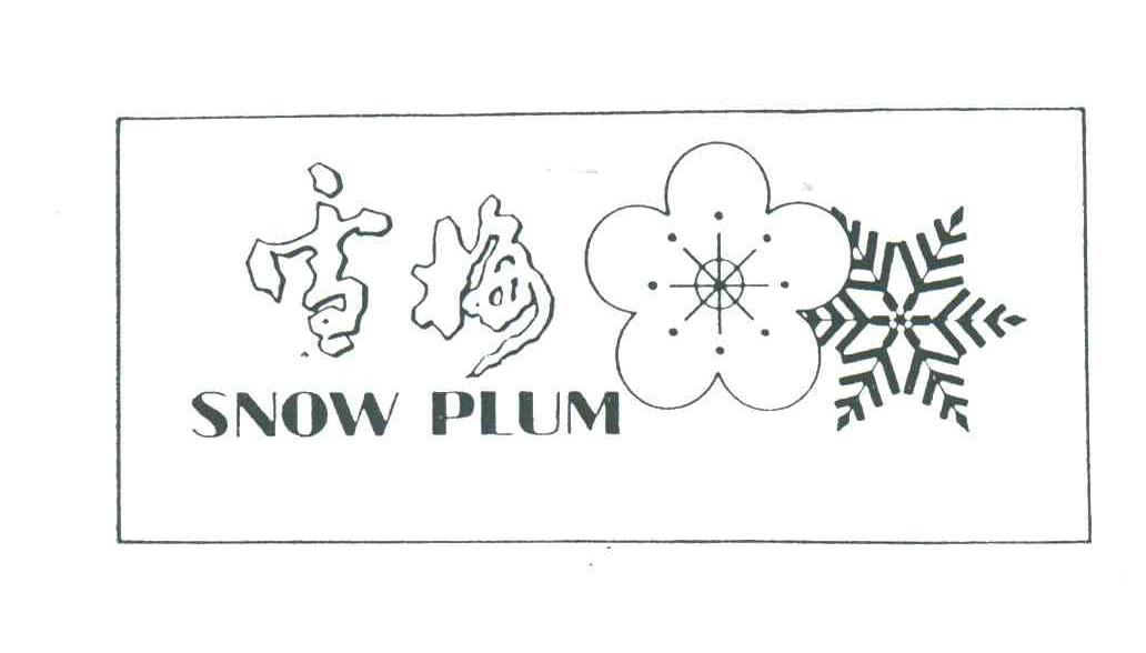 雪梅;SNOW PLUM