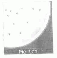ME LON