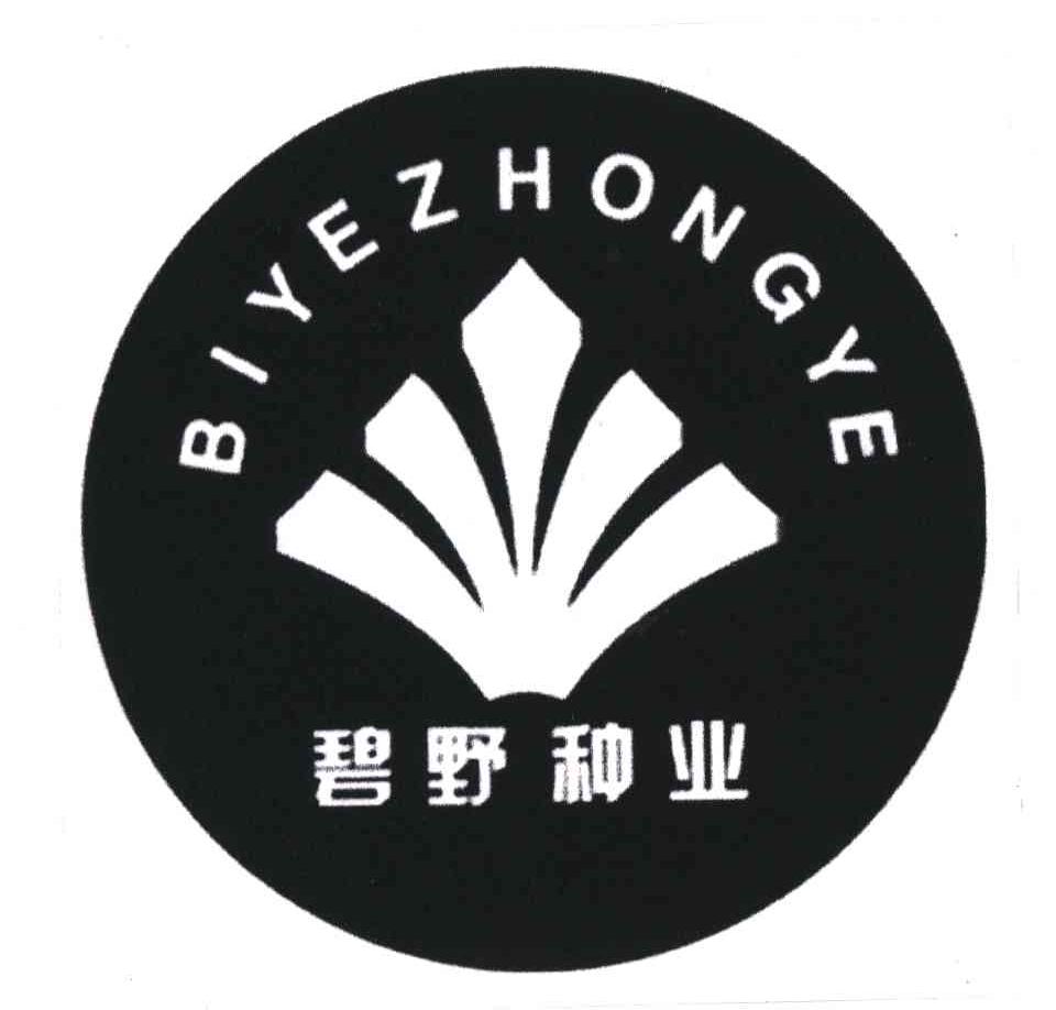 碧野;BI YE