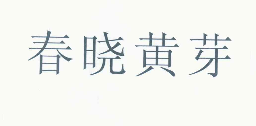 春晓黄芽