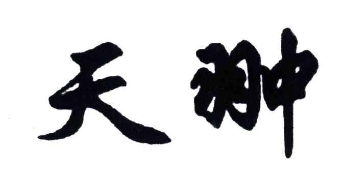 天翀