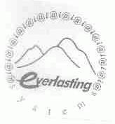 EVERLASTING SYSTEM