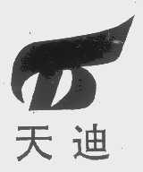 天迪