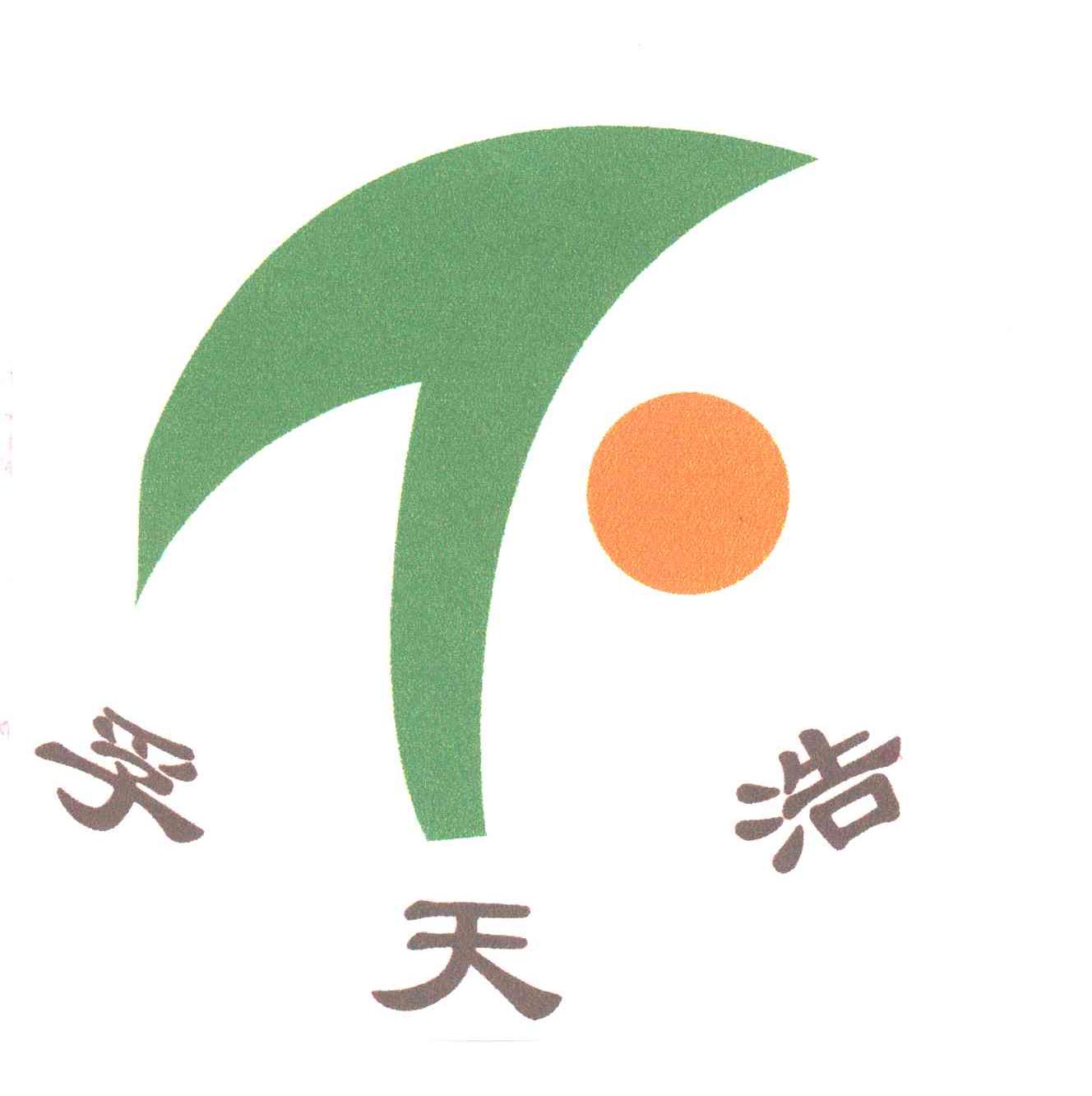 孚天浩