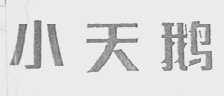 小天鹅