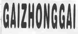 GAIZHONGGAI
