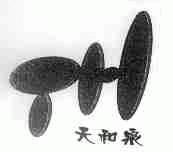 天和泉