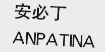 安必丁 ANPATINA