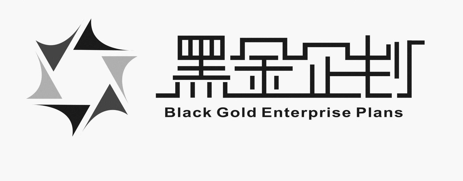 黑金企划 BLACK GOLD ENTERPRISE PLANS