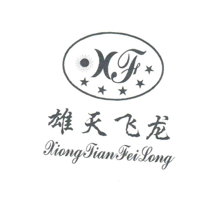 雄天飞龙;XF
