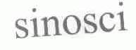 SINOSCI