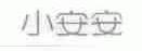 小安安