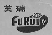 芙瑞