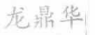 龙鼎华