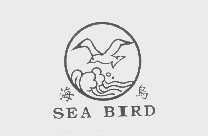 海鸟   SEA BIRD
