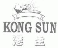 港生;KONG SUN
