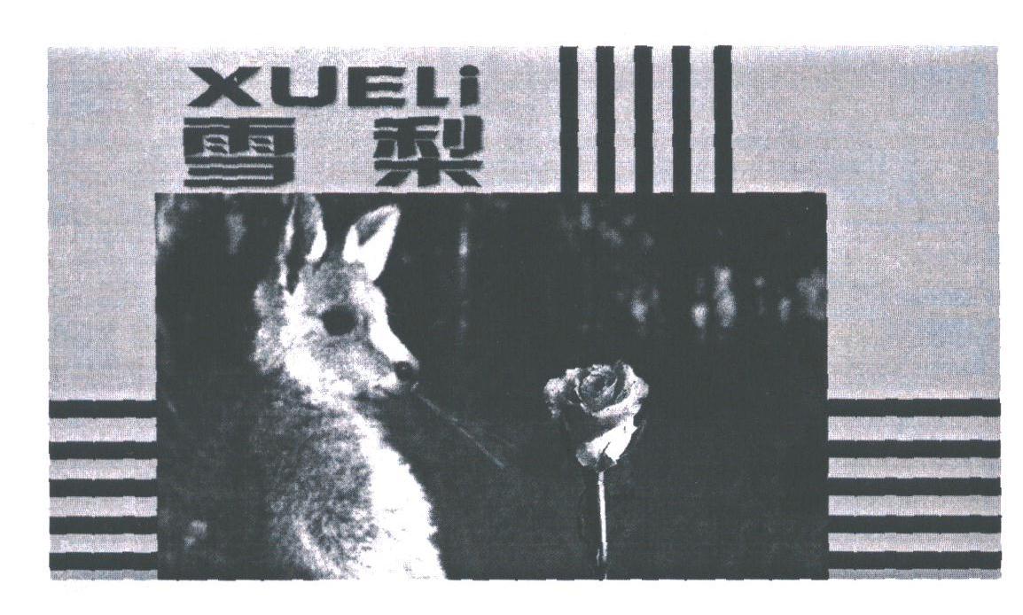 雪梨