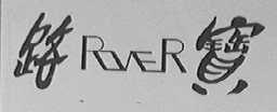 路宝    ROVER