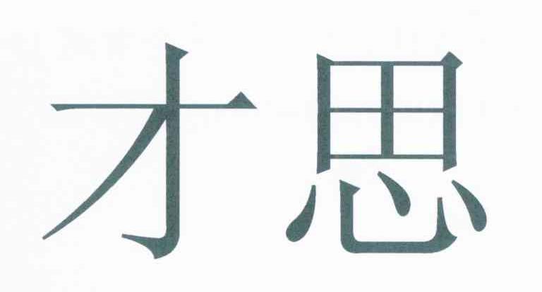 才思