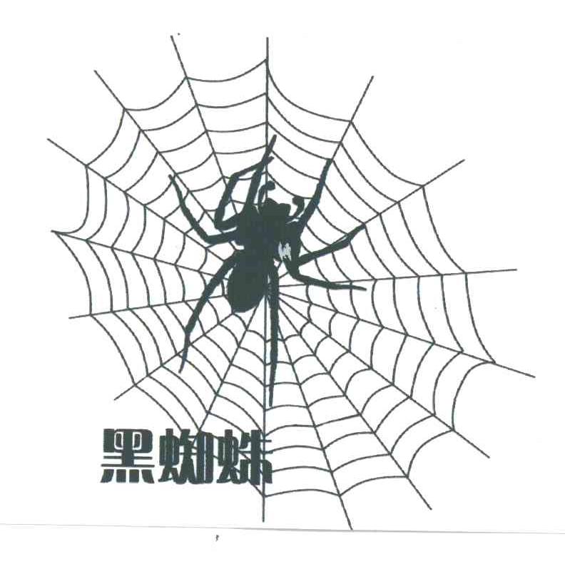 黑蜘蛛