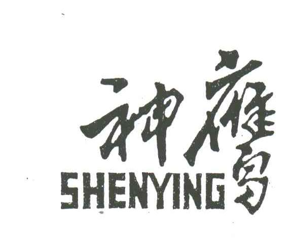 神鹰