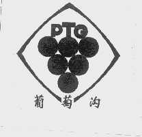 葡萄沟   PTG