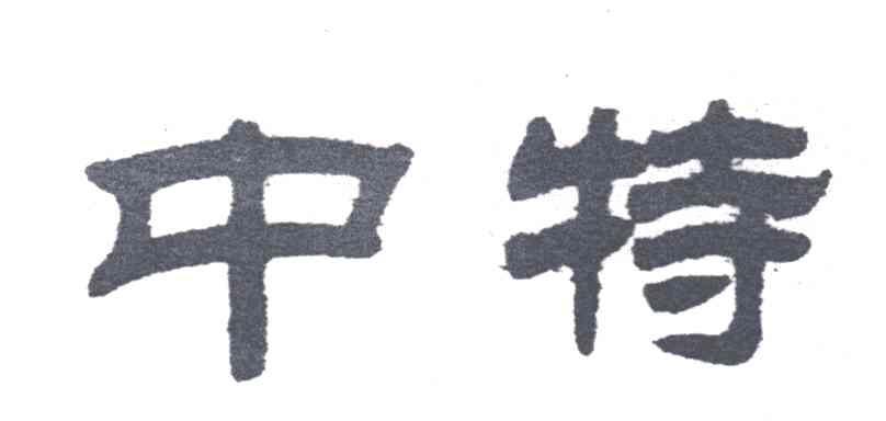 中特