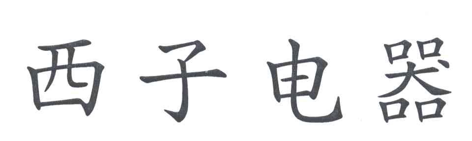 西子电器
