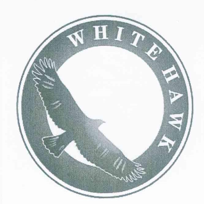 WHITE HAWK