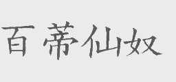百蒂仙奴