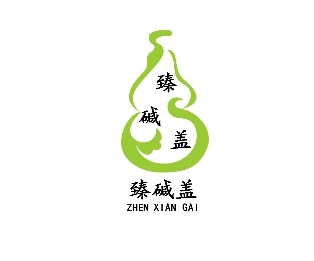 臻碱盖 ZHEN XIAN GAI